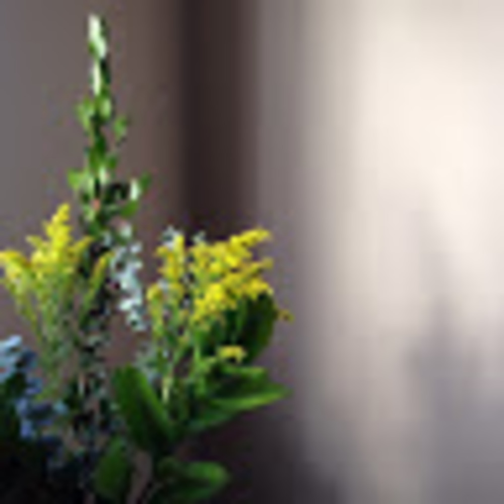 Meet your Posher, Itxaso